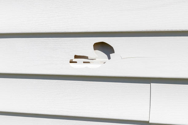 Storm Damage Siding Repair in Eastman, GA
